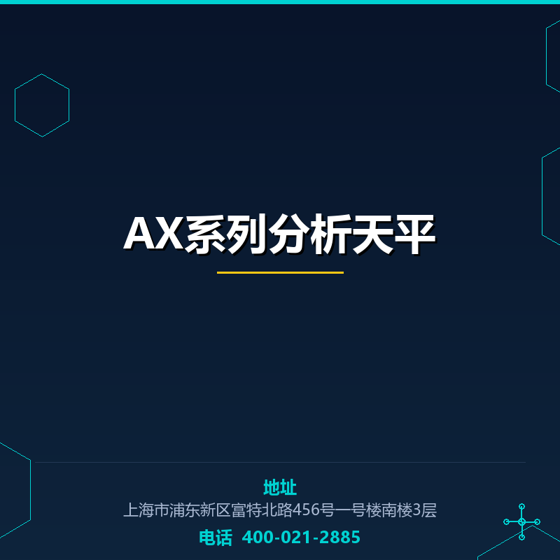 AX系列分析天平 None