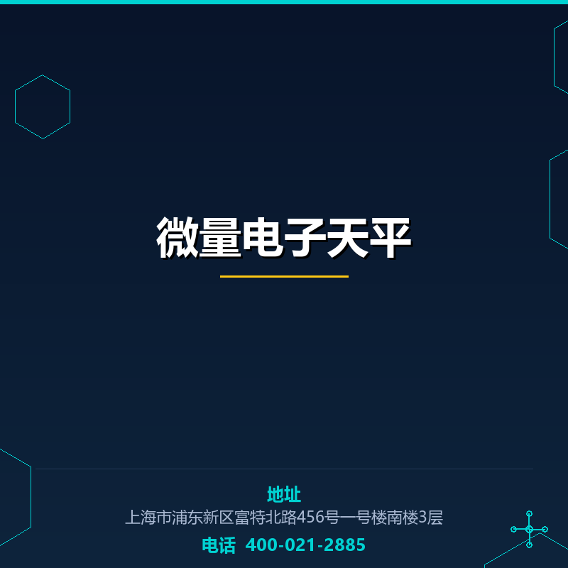 微量电子天平 None