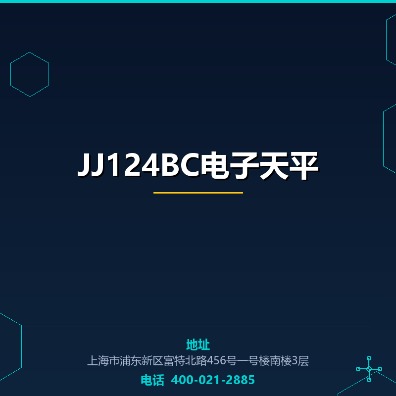 JJ124BC电子天平 None