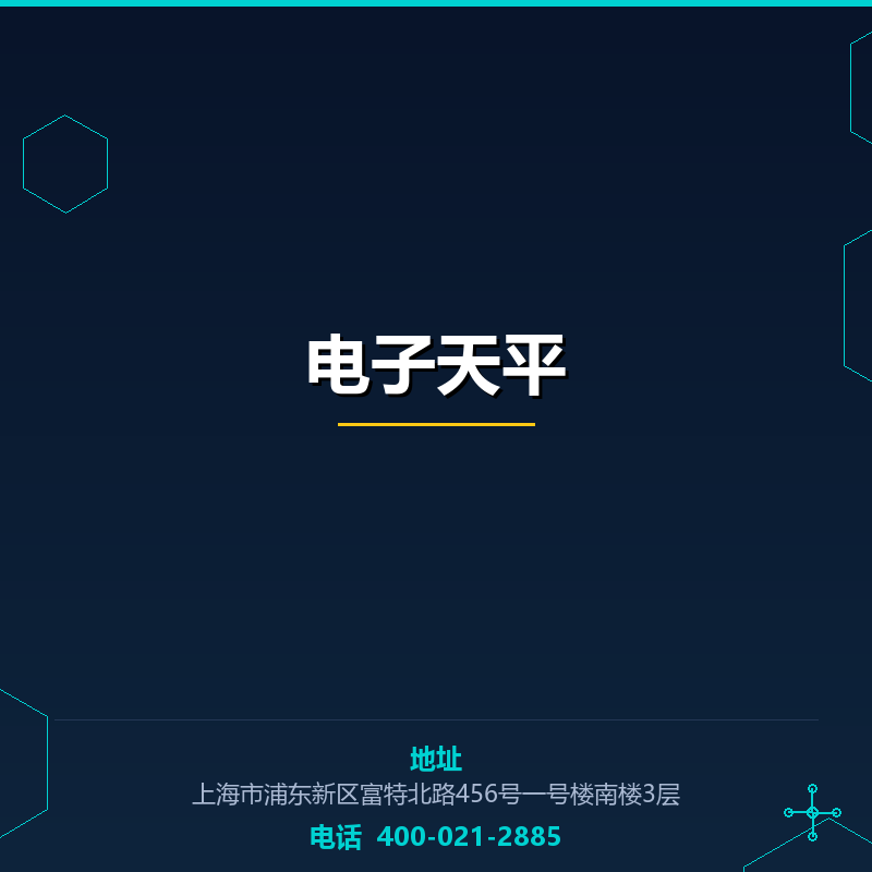 电子天平 None