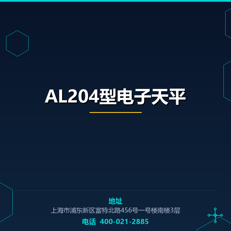 AL204型电子天平 None
