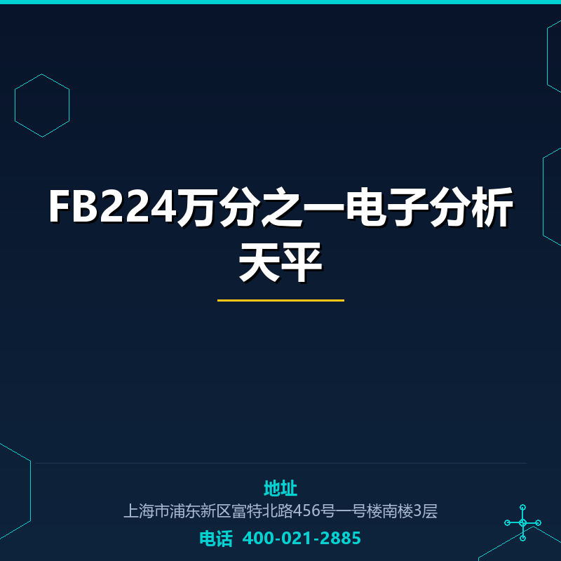 FB224万分之一电子分析天平 None