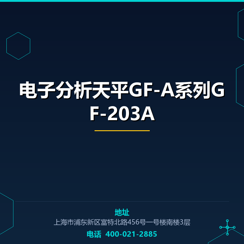 电子分析天平GF-A系列GF-203A None