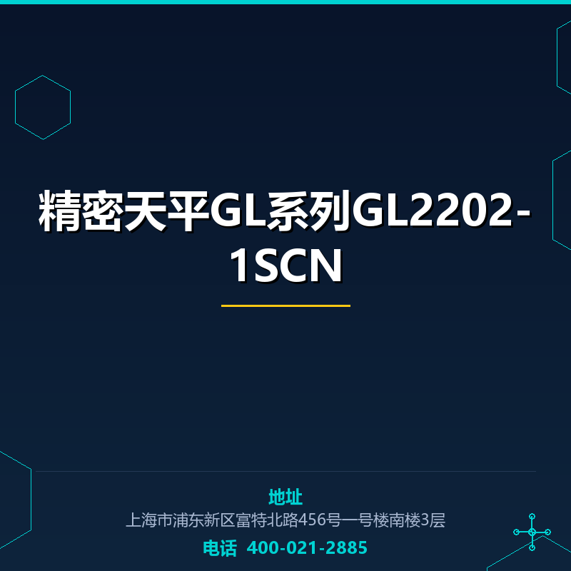 精密天平GL系列GL2202-1SCN None