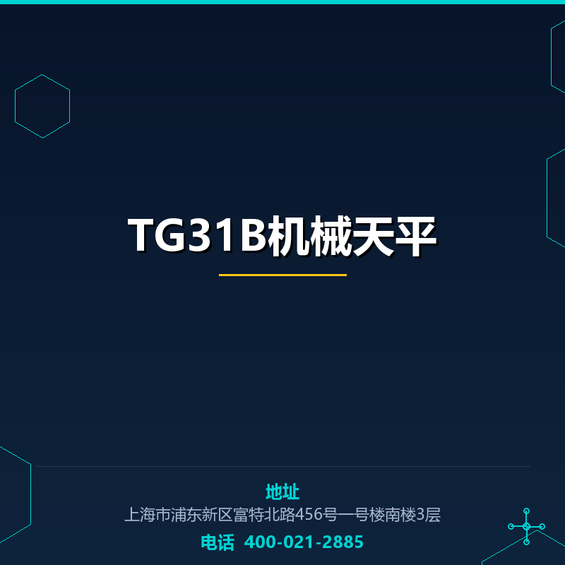 TG31B机械天平 None