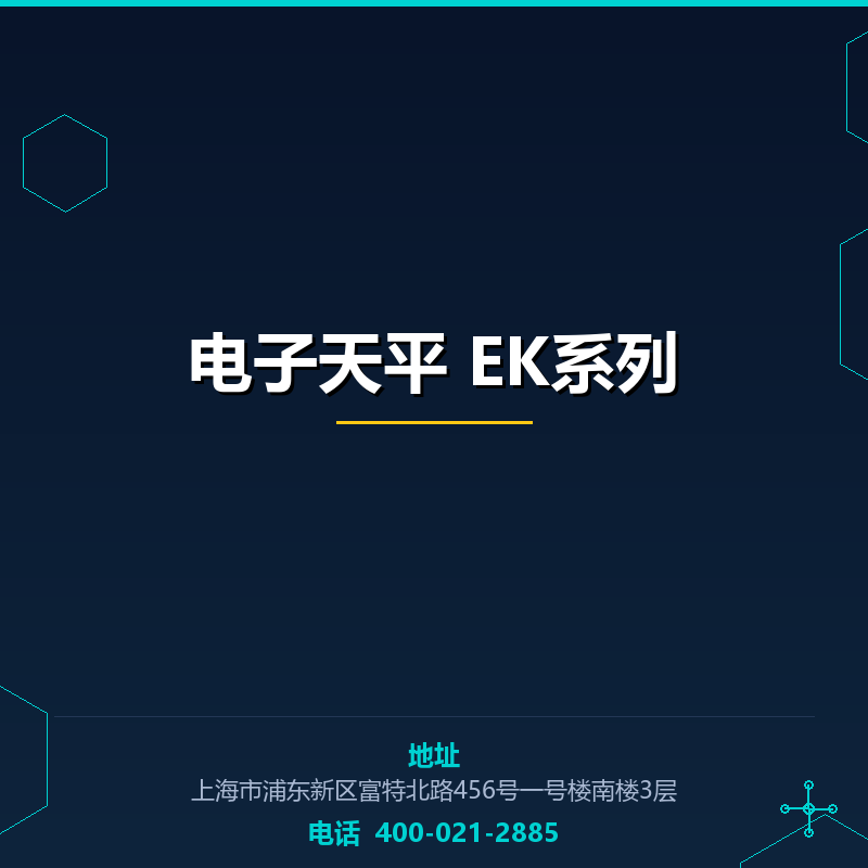 电子天平 EK系列 None