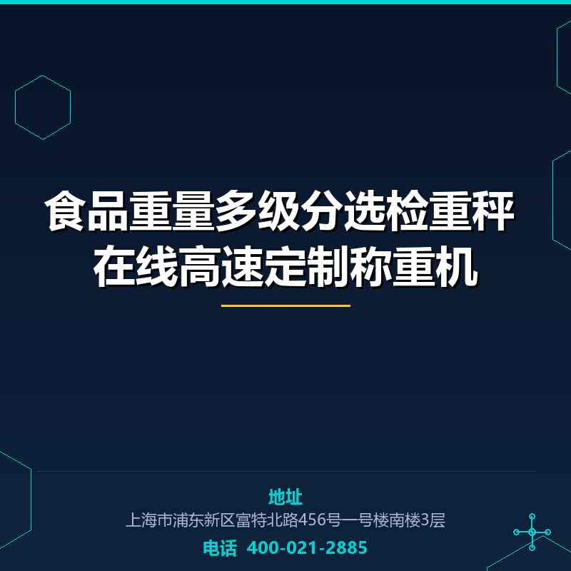 食品重量多级分选检重秤 在线高速定制称重机 None