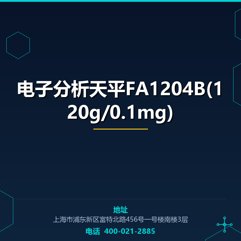 电子分析天平FA1204B(120g/0.1mg)
