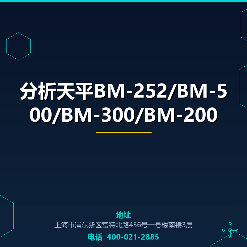 分析天平BM-252/BM-500/BM-300/BM-200