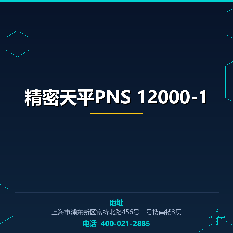 精密天平PNS 12000-1