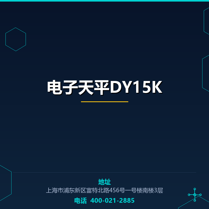 电子天平DY15K