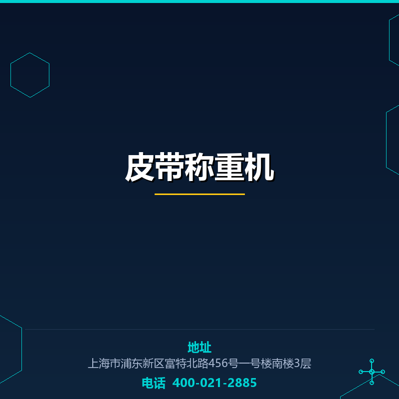 皮带称重机