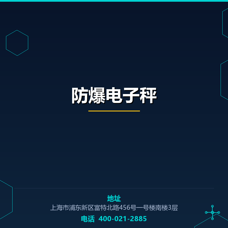 防爆电子秤