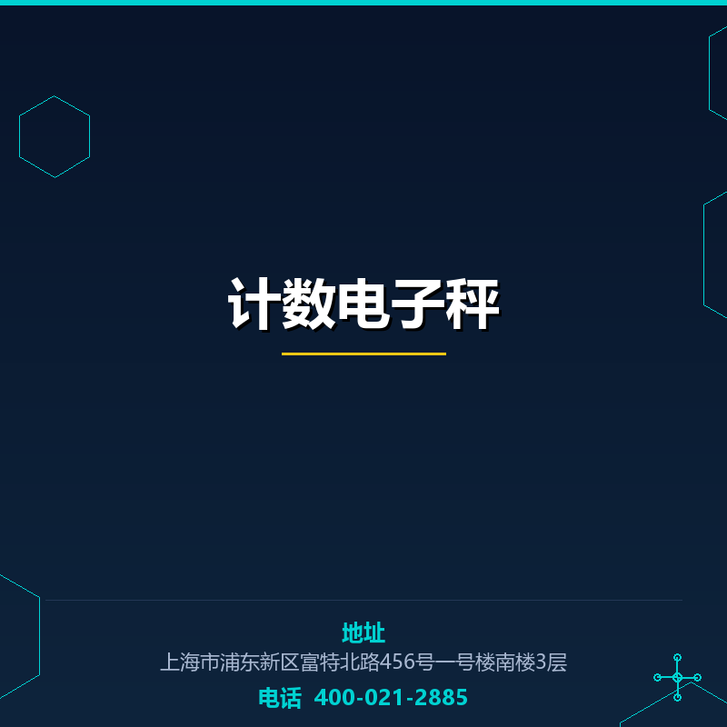 计数电子秤