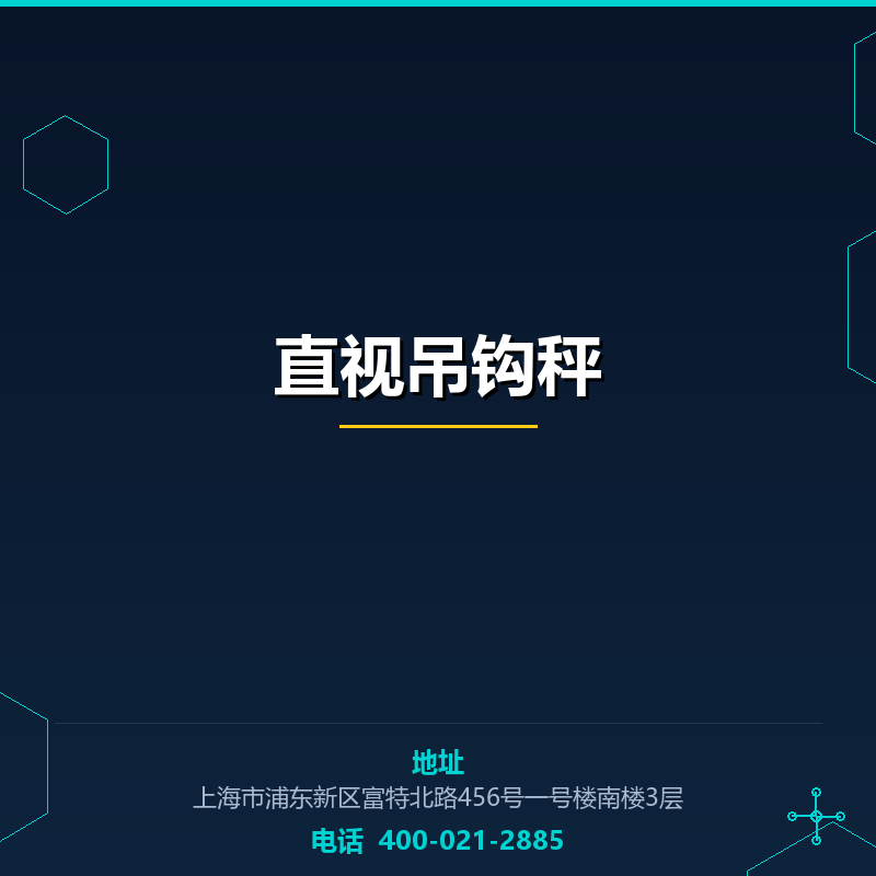 直视吊钩秤