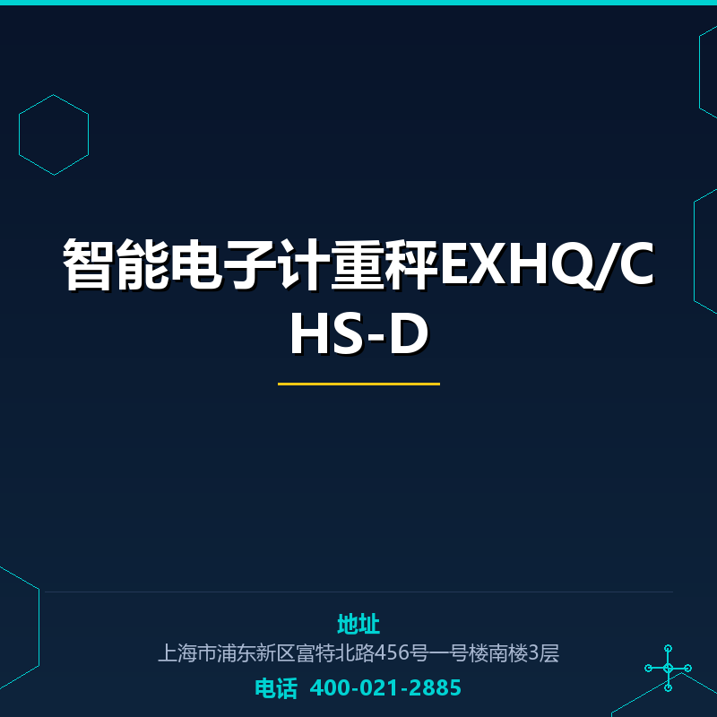 智能电子计重秤EXHQ/CHS-D