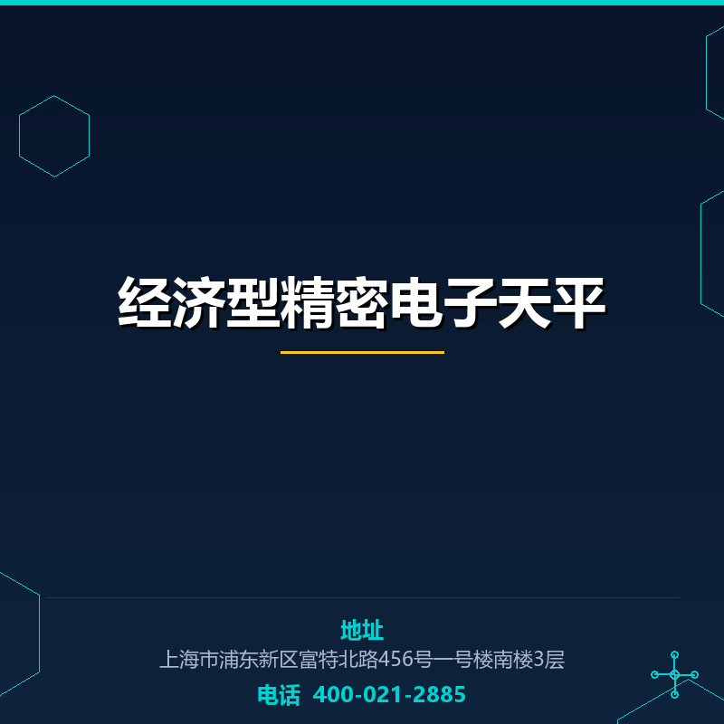 经济型精密电子天平