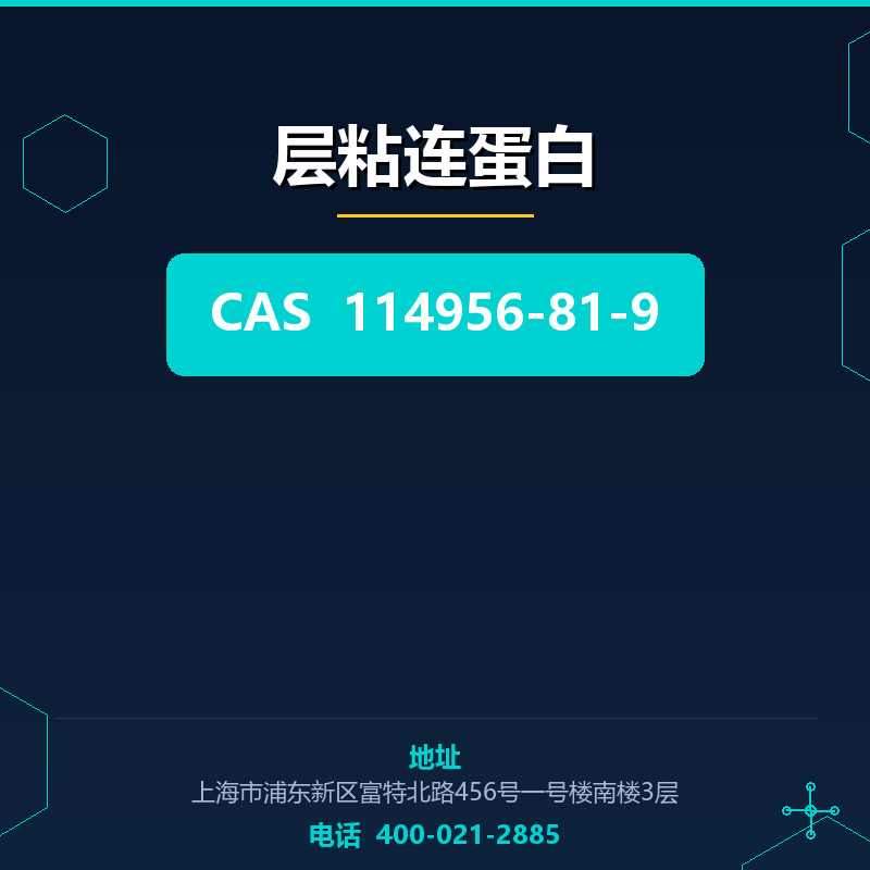 层粘连蛋白