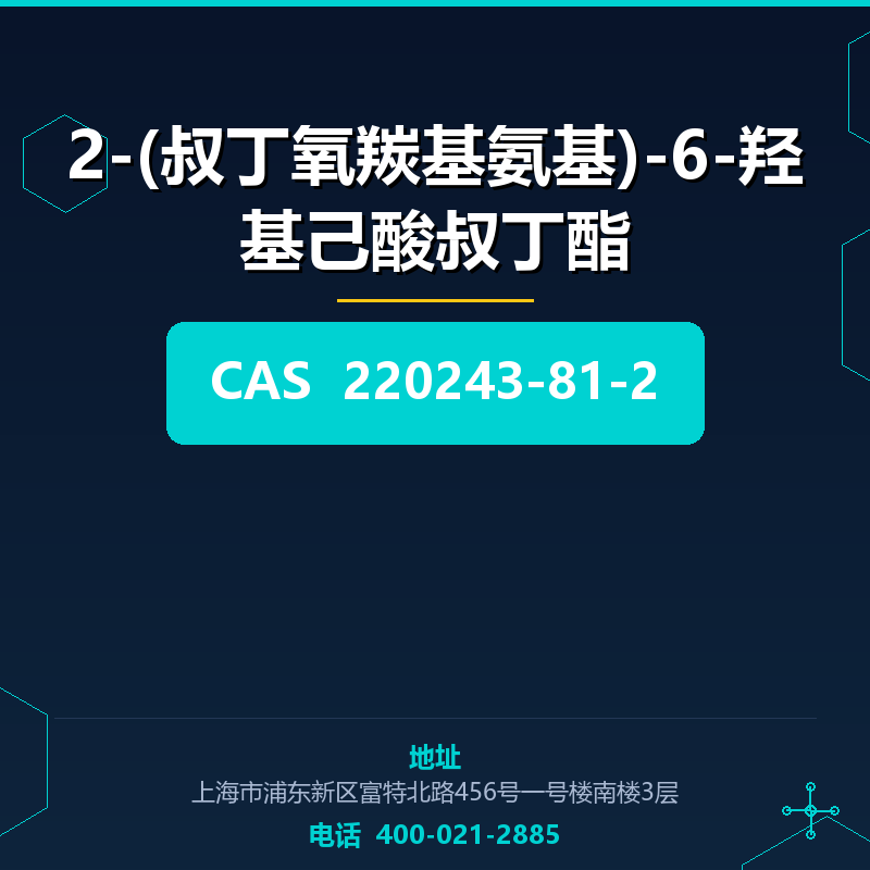 2-(叔丁氧羰基氨基)-6-羟基己酸叔丁酯 220243-81-2