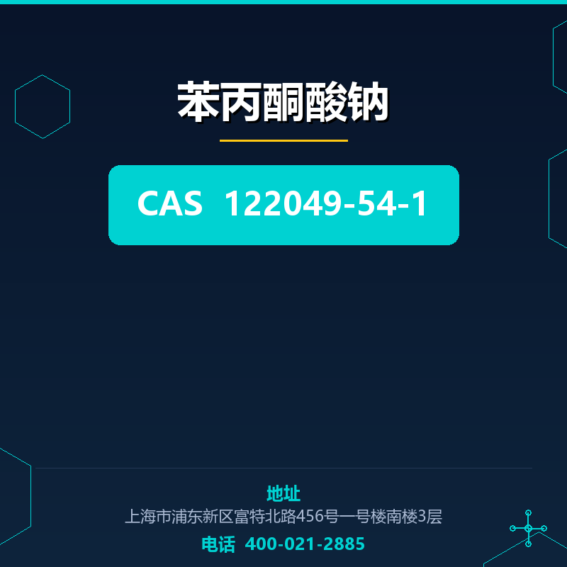 苯丙酮酸钠 122049-54-1
