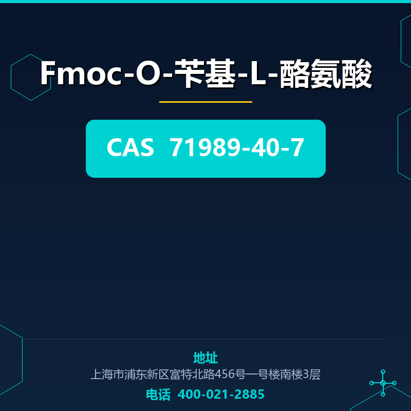 Fmoc-O-苄基-L-酪氨酸 71989-40-7