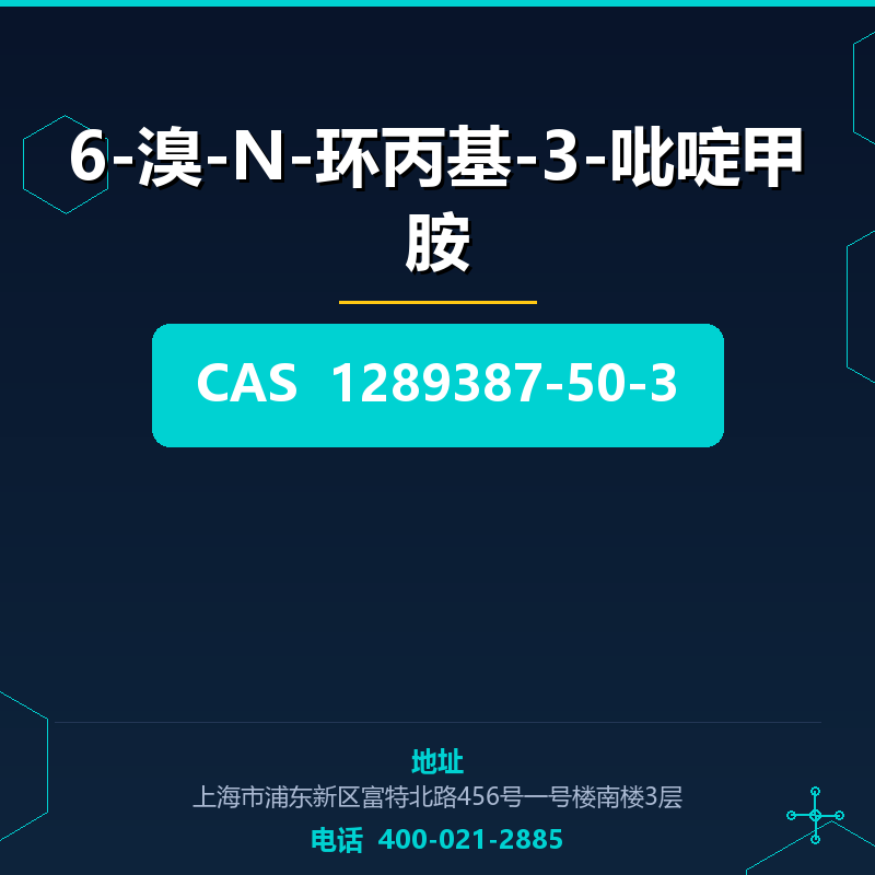 6-溴-N-环丙基-3-吡啶甲胺 1289387-50-3
