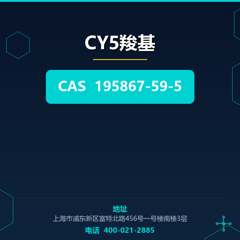 CY5羧基 195867-59-5