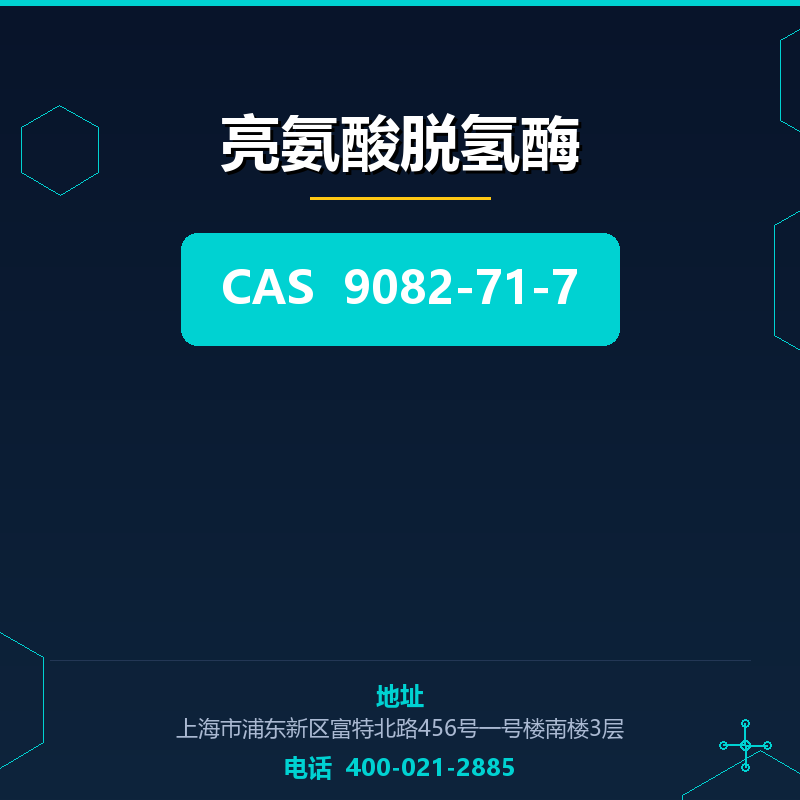 亮氨酸脱氢酶 9082-71-7