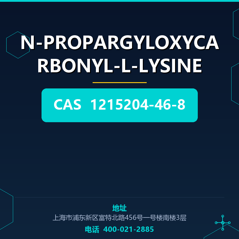 N-PROPARGYLOXYCARBONYL-L-LYSINE 1215204-46-8