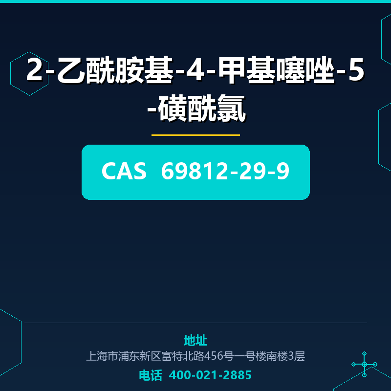 2-乙酰胺基-4-甲基噻唑-5-磺酰氯 69812-29-9