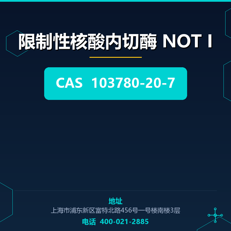 限制性核酸内切酶 NOT I 103780-20-7