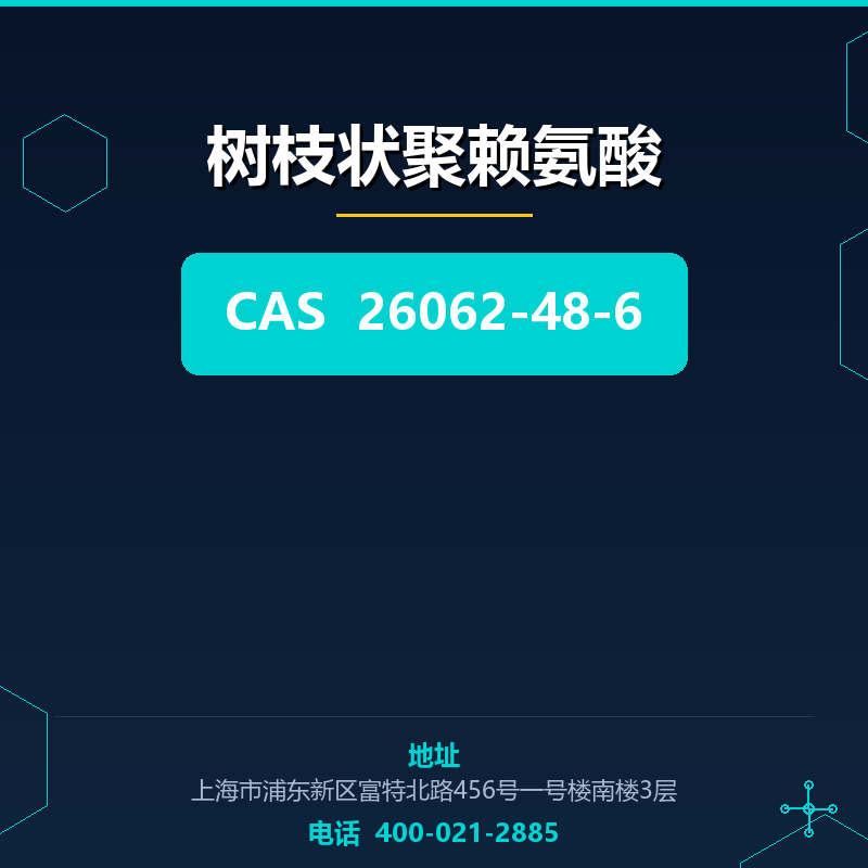 树枝状聚赖氨酸