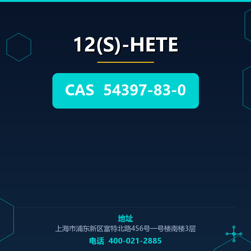 12(S)-HETE 54397-83-0