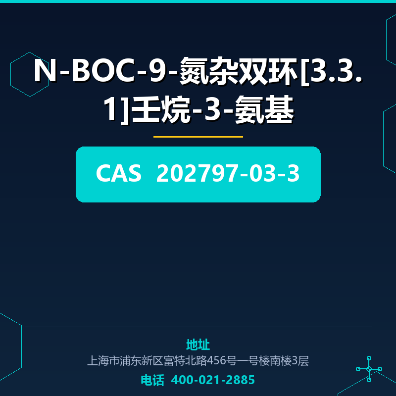N-BOC-9-氮杂双环[3.3.1]壬烷-3-氨基 202797-03-3