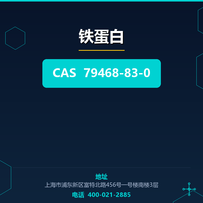 铁蛋白