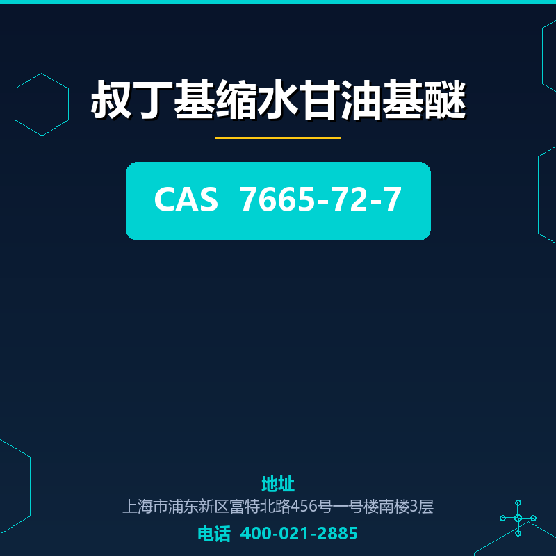 叔丁基缩水甘油基醚 7665-72-7