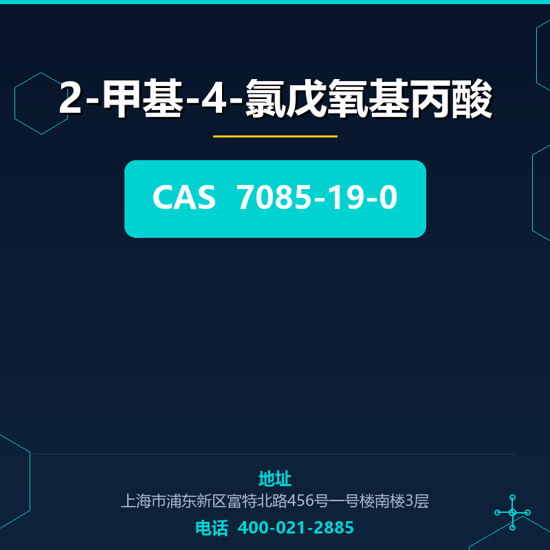 2-甲基-4-氯戊氧基丙酸 7085-19-0