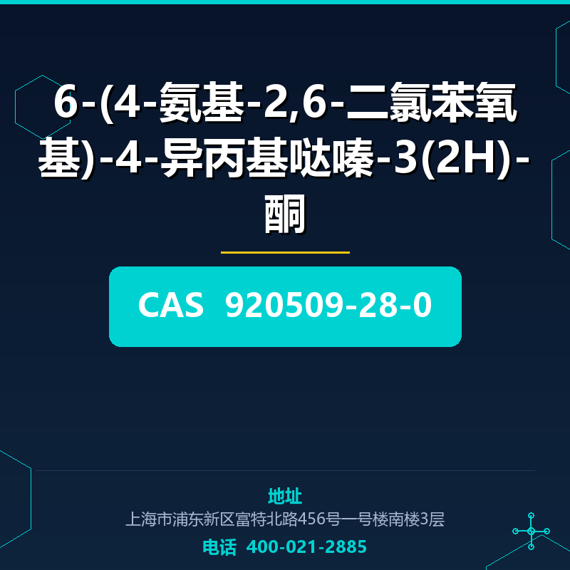 6-(4-氨基-2,6-二氯苯氧基)-4-异丙基哒嗪-3(2H)-酮 920509-28-0