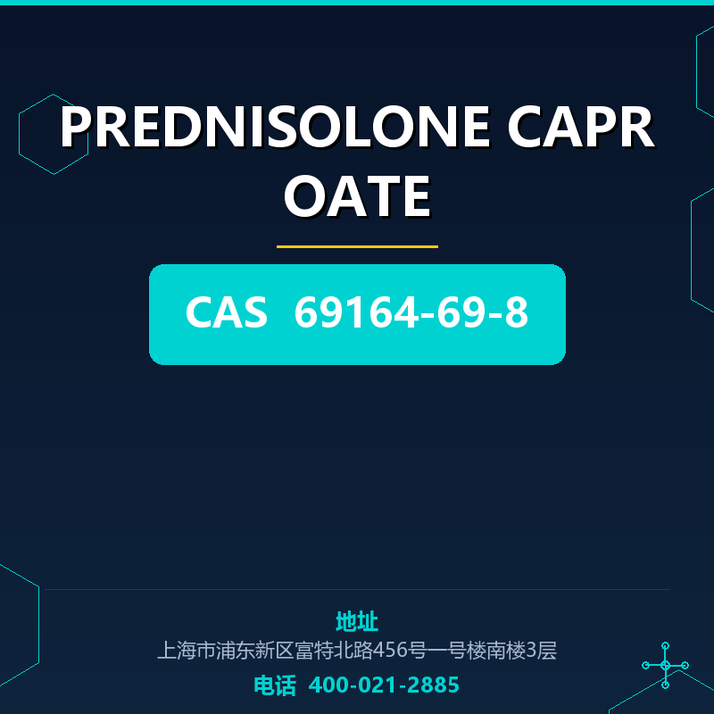 PREDNISOLONE CAPROATE 69164-69-8