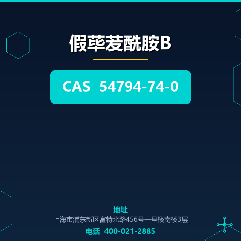 假荜茇酰胺B 54794-74-0