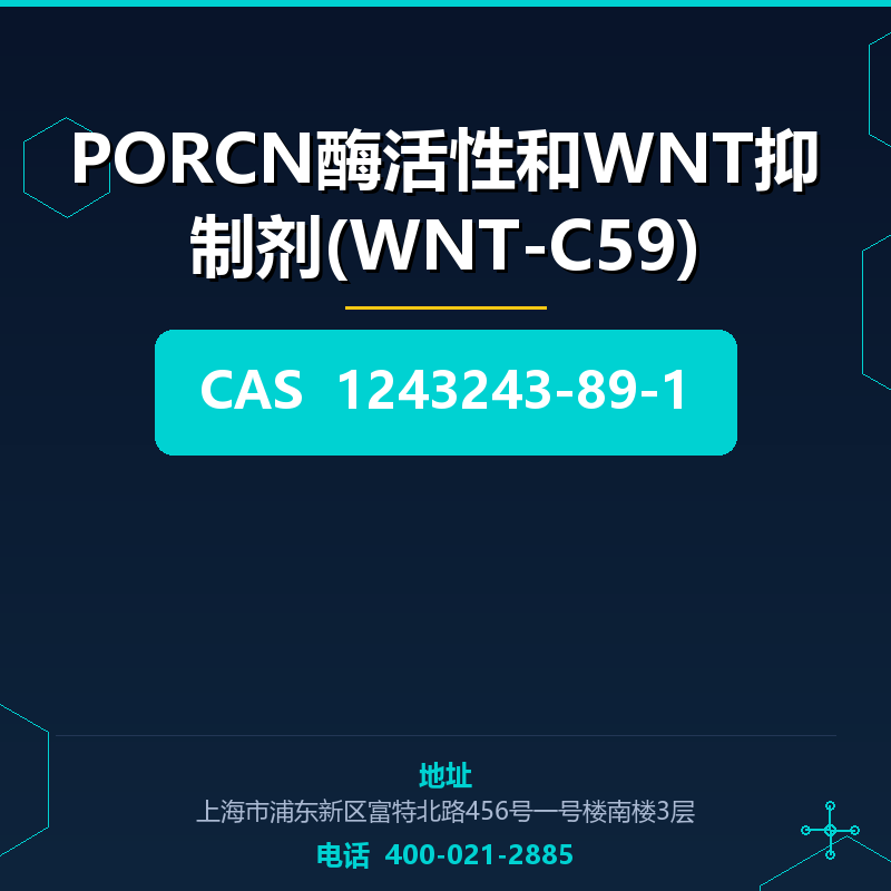 PORCN酶活性和WNT抑制剂(WNT-C59) 1243243-89-1