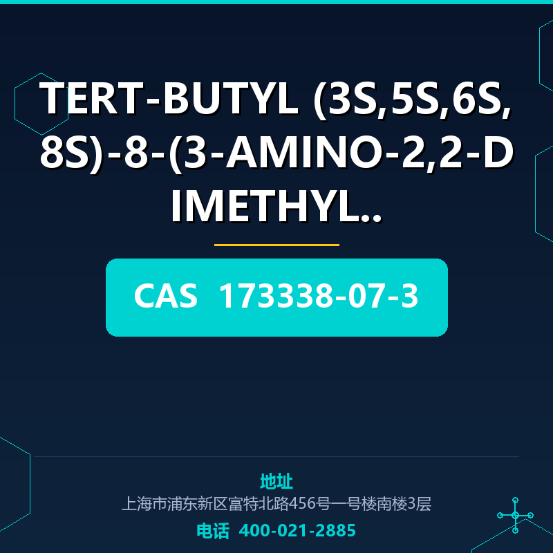 TERT-BUTYL (3S,5S,6S,8S)-8-(3-AMINO-2,2-DIMETHYL-3 (173338-0 173338-07-3