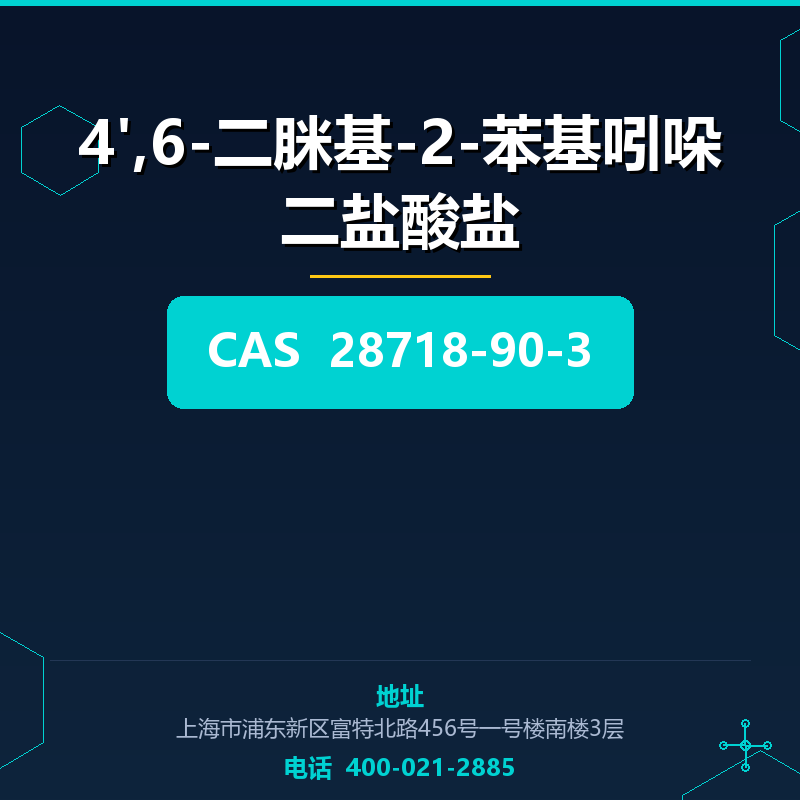 4',6-二脒基-2-苯基吲哚二盐酸盐 28718-90-3
