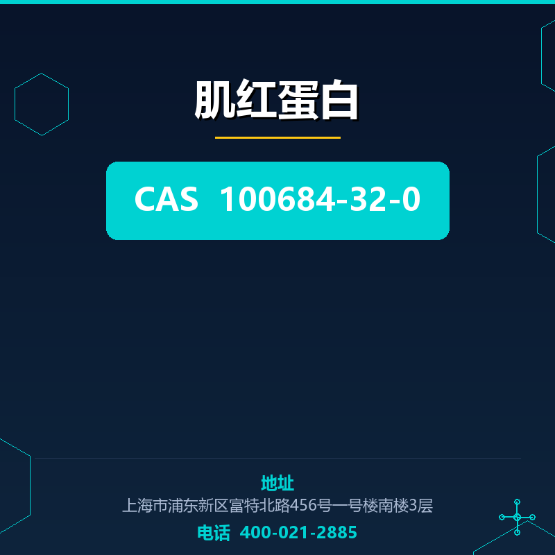 肌红蛋白