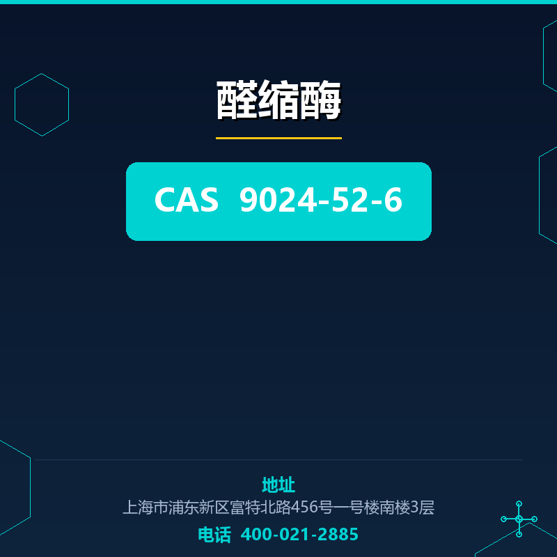 醛缩酶 9024-52-6