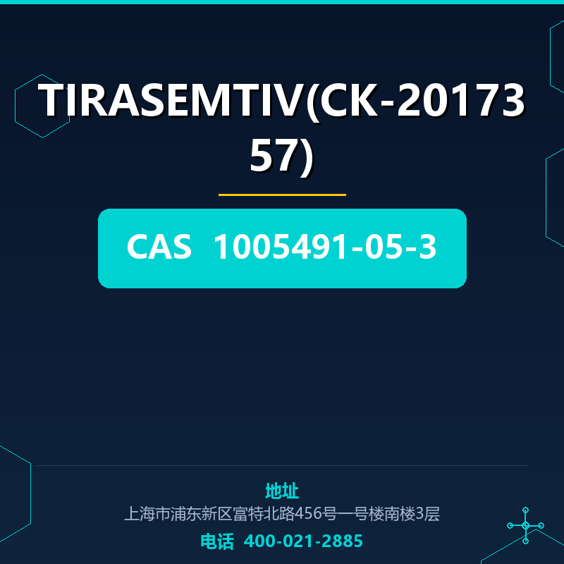 TIRASEMTIV(CK-2017357) 1005491-05-3