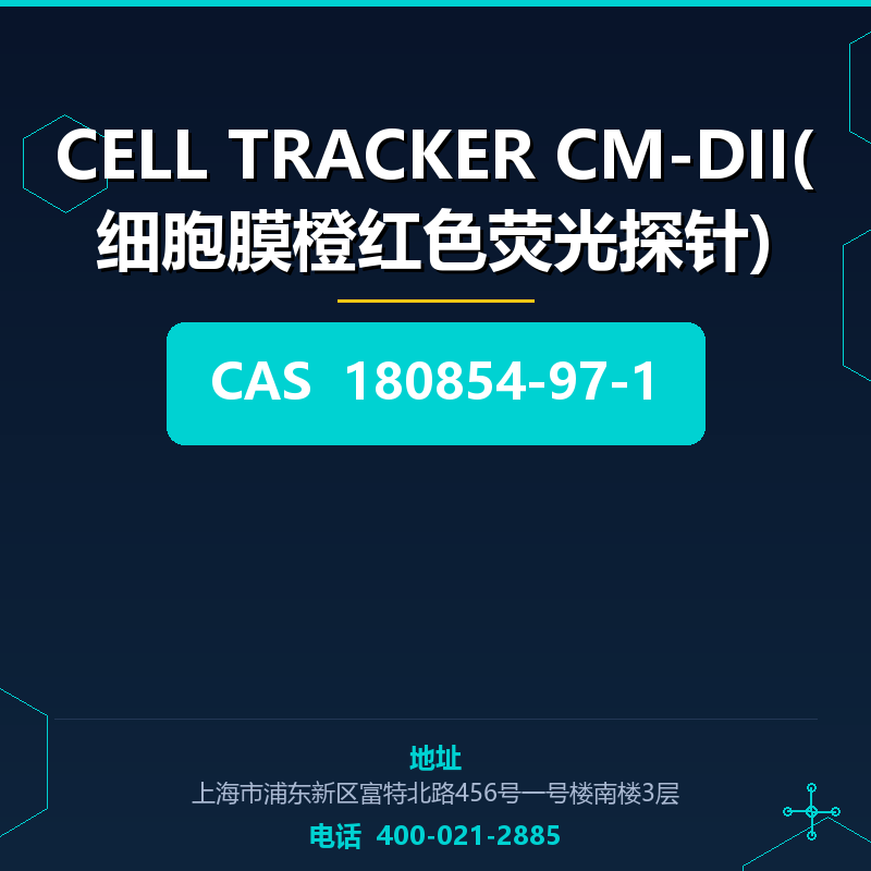 CELL TRACKER CM-DII(细胞膜橙红色荧光探针)