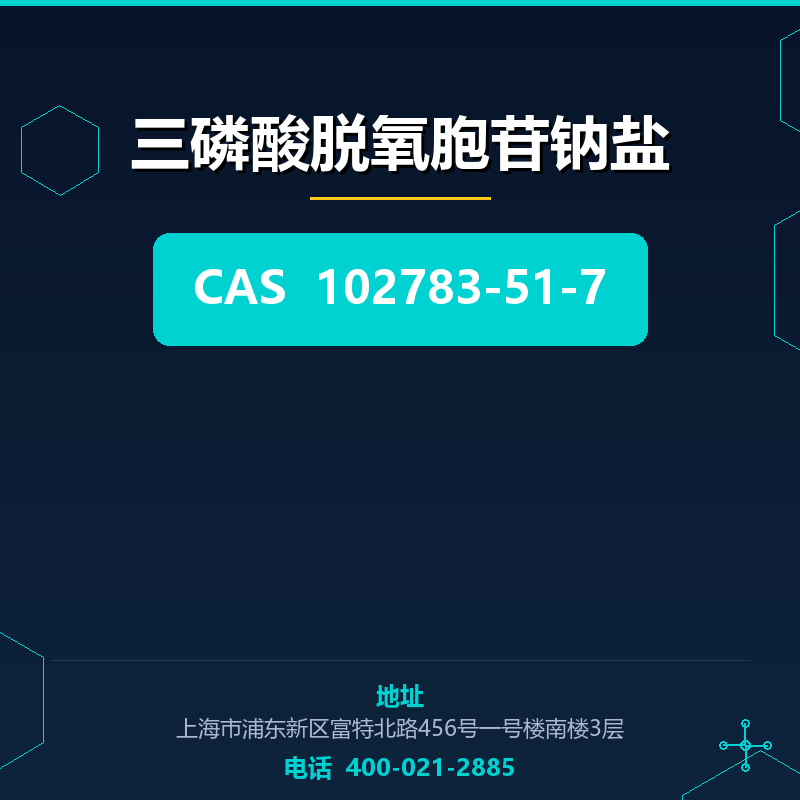 三磷酸脱氧胞苷钠盐 102783-51-7