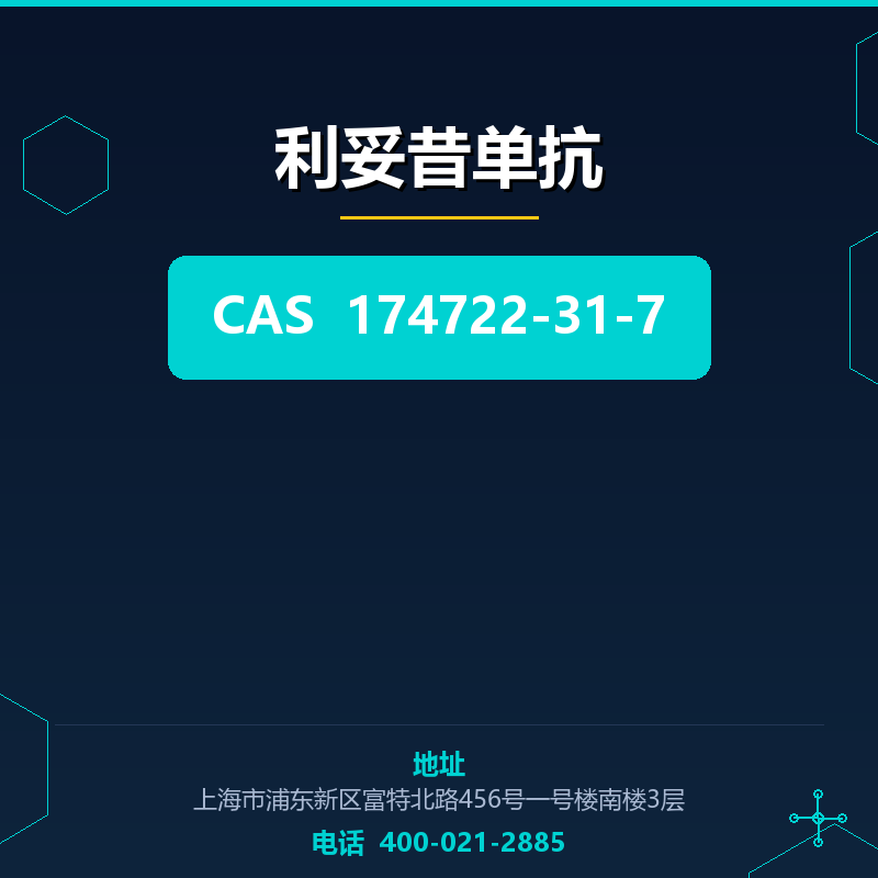利妥昔单抗 174722-31-7