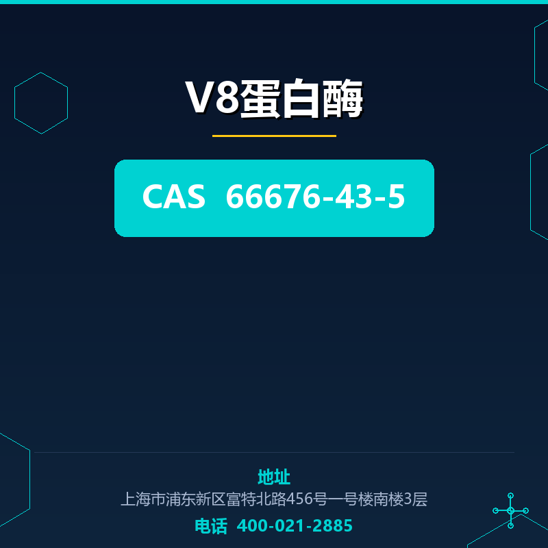 V8蛋白酶 66676-43-5